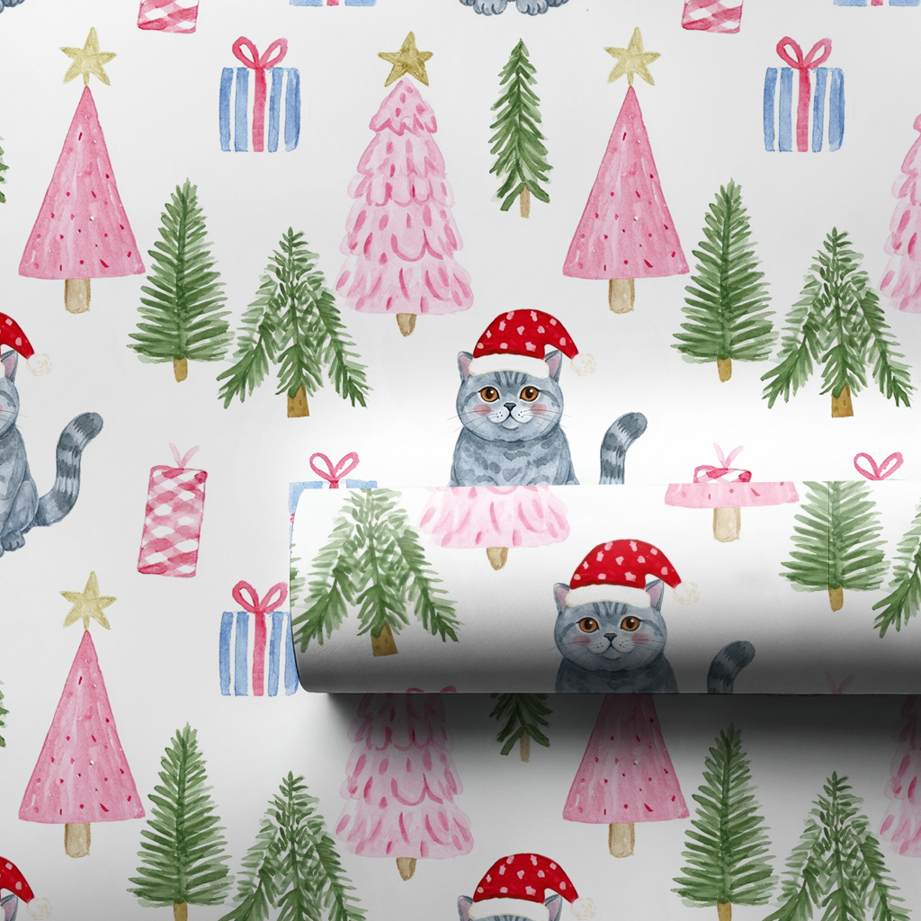 British Shorthair at Christmas