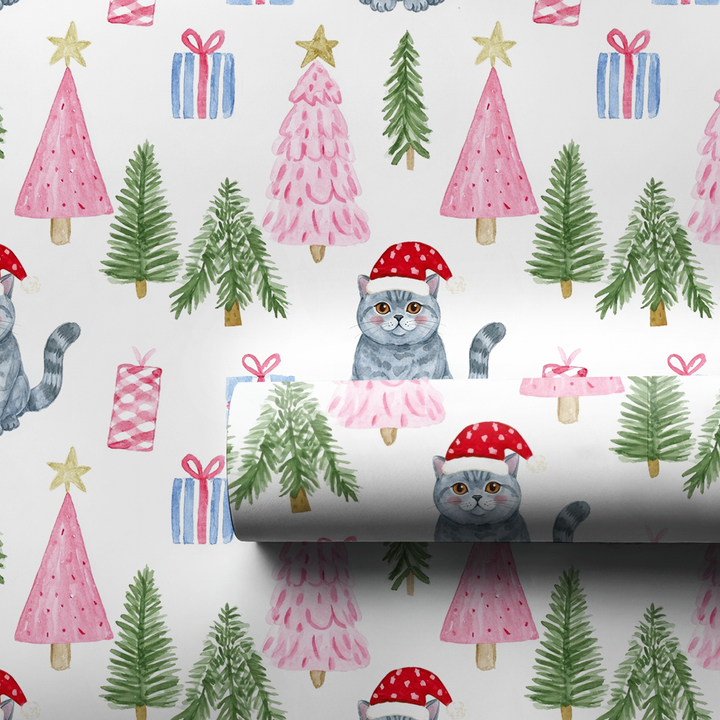 British Shorthair at Christmas