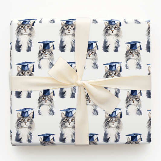 Maine Coon Graduate - Wrapping Paper - Aspen & Arlo