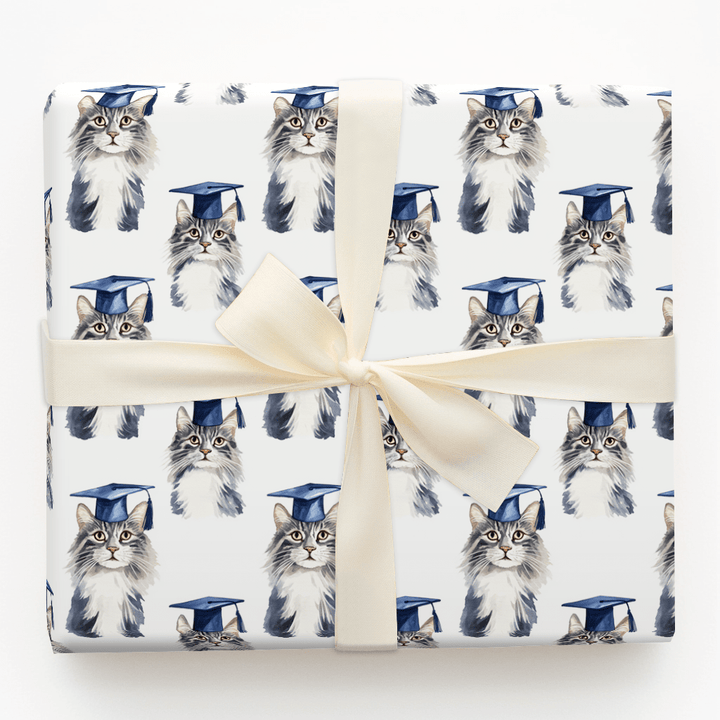 Maine Coon Graduate - Wrapping Paper - Aspen & Arlo
