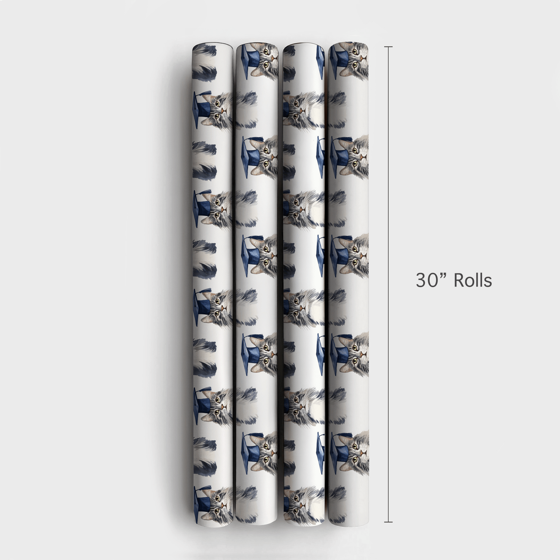 Maine Coon Graduate - Wrapping Paper - Aspen & Arlo