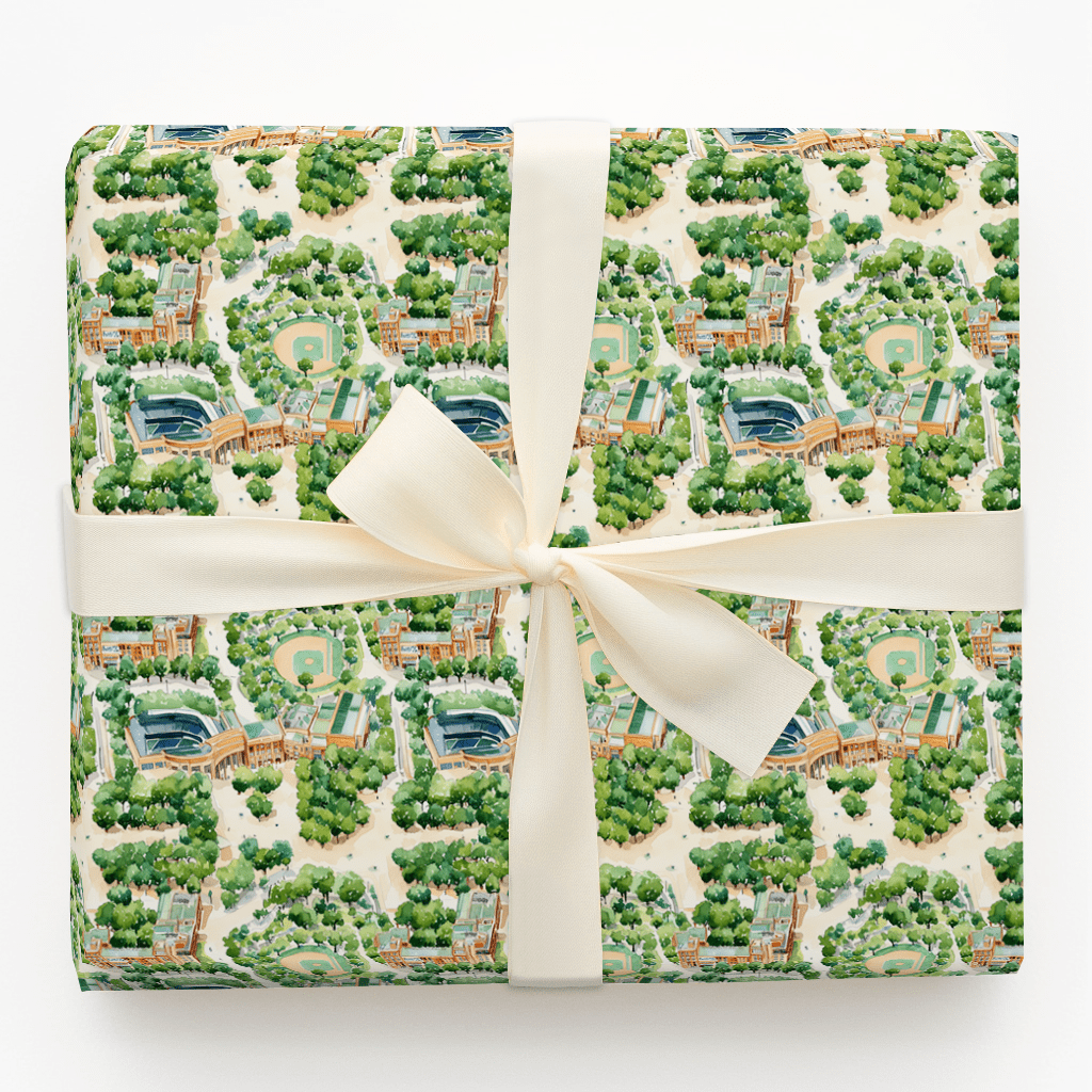 Outfield in Bloom - Wrapping Paper - Aspen & Arlo