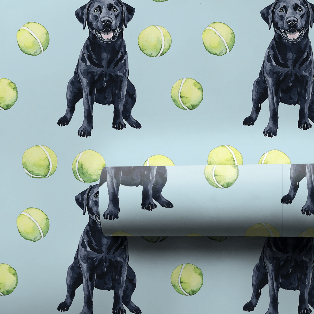Buckeye Boy - Wrapping Paper - Aspen & Arlo