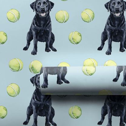 Buckeye Boy - Wrapping Paper - Aspen & Arlo