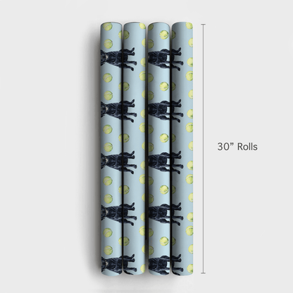 Buckeye Boy - Wrapping Paper - Aspen & Arlo