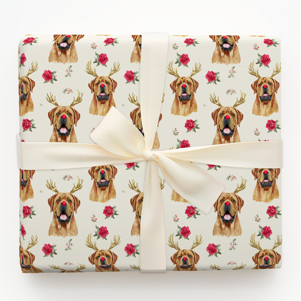 Rudolph French Mastiffs