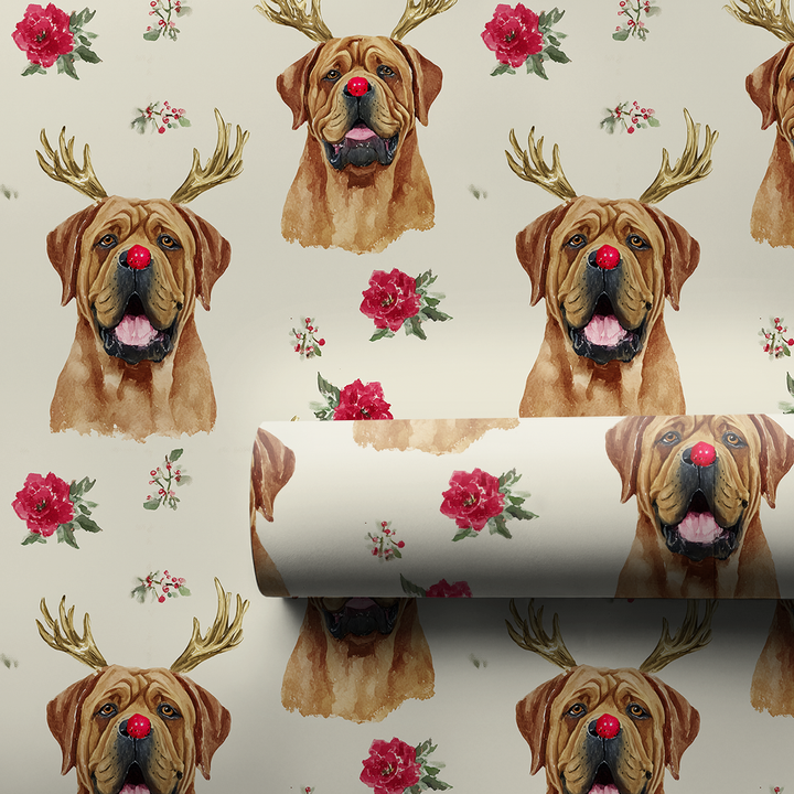 Rudolph French Mastiffs