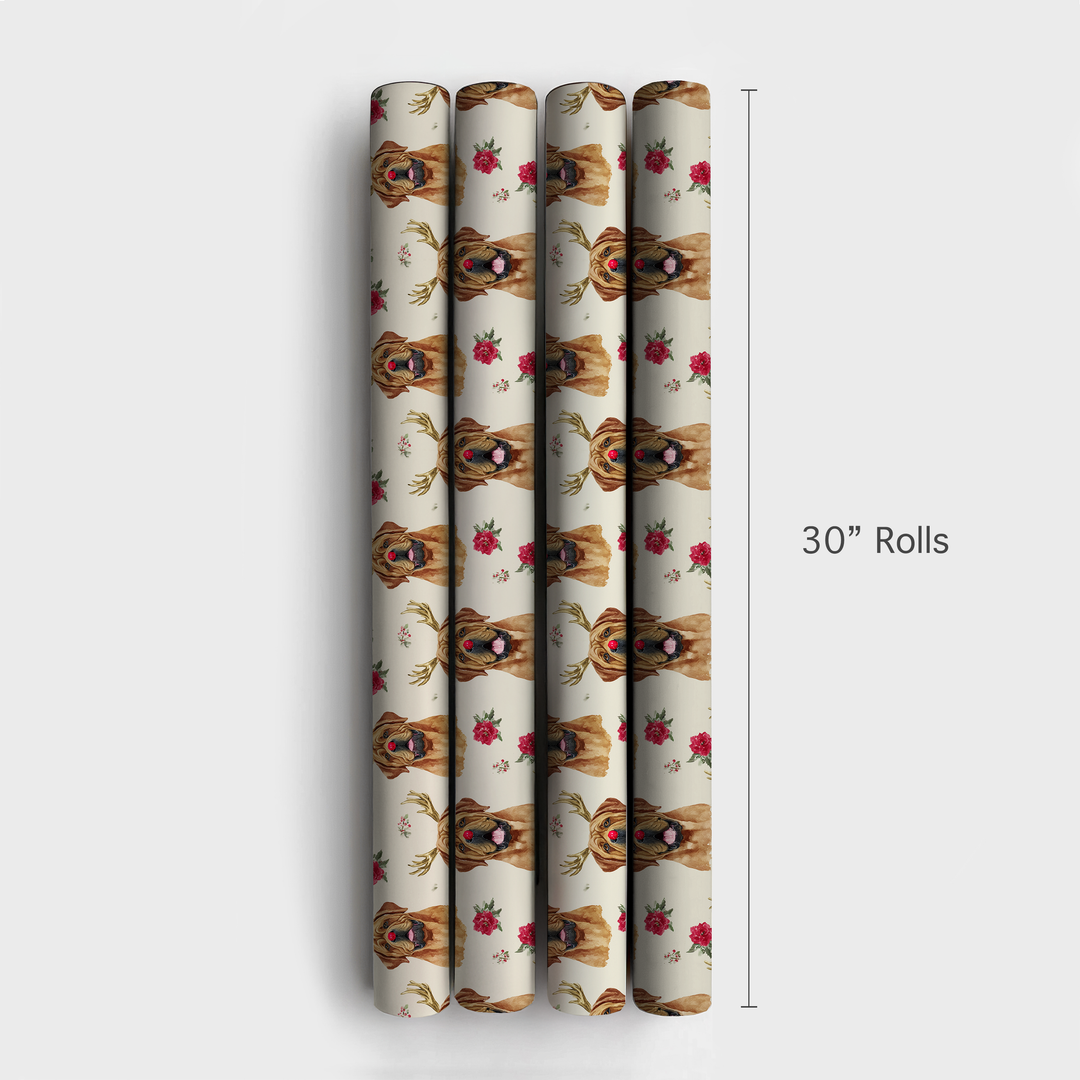Rudolph French Mastiffs