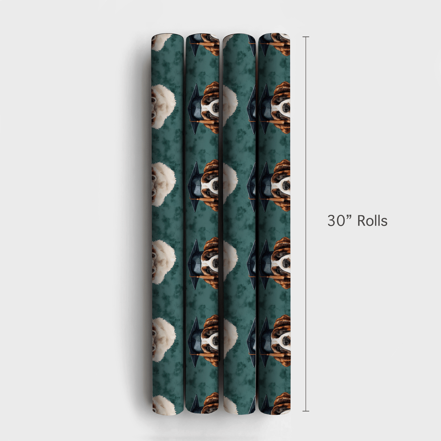 Saint Bernard Graduate - Wrapping Paper - Aspen & Arlo