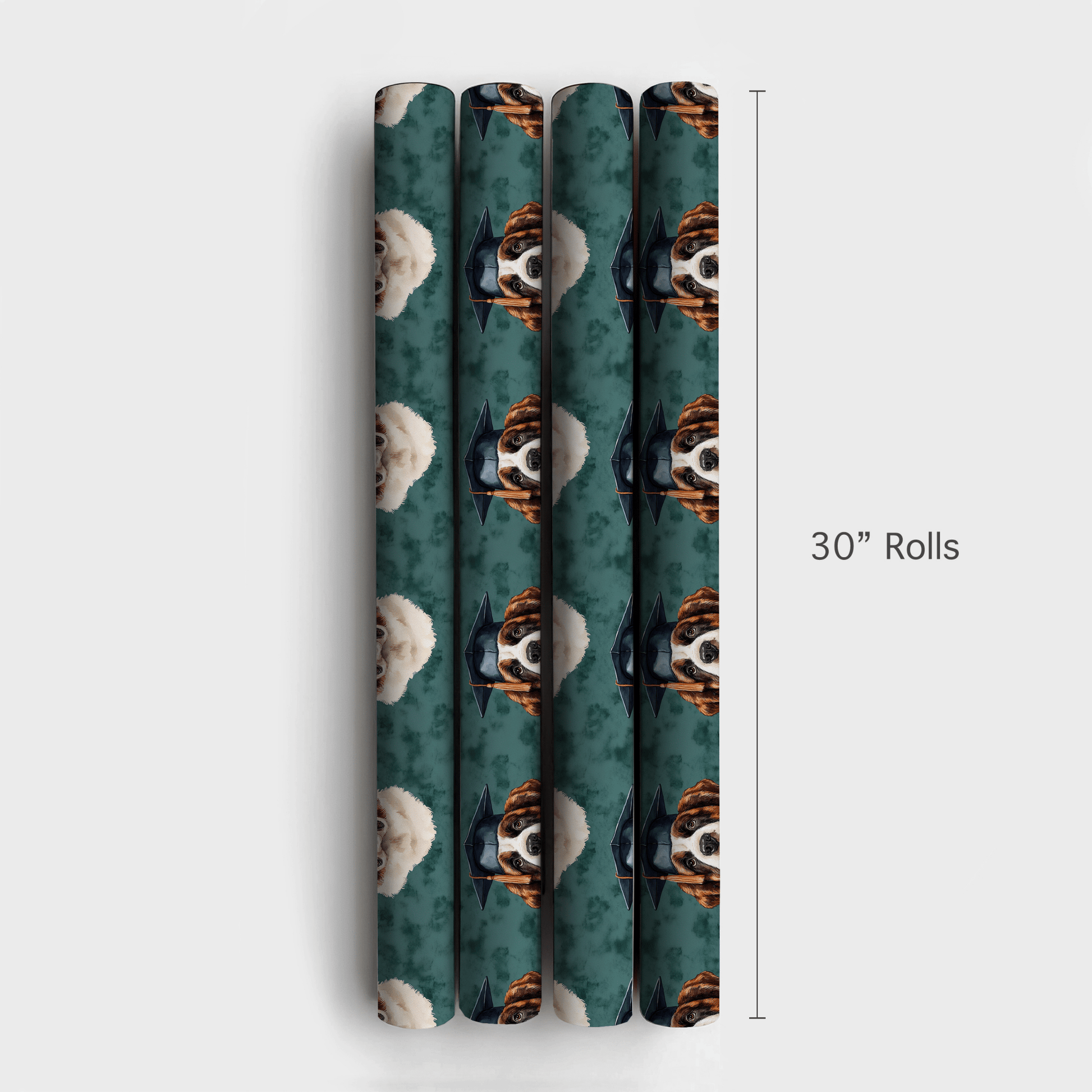 Saint Bernard Graduate - Wrapping Paper - Aspen & Arlo