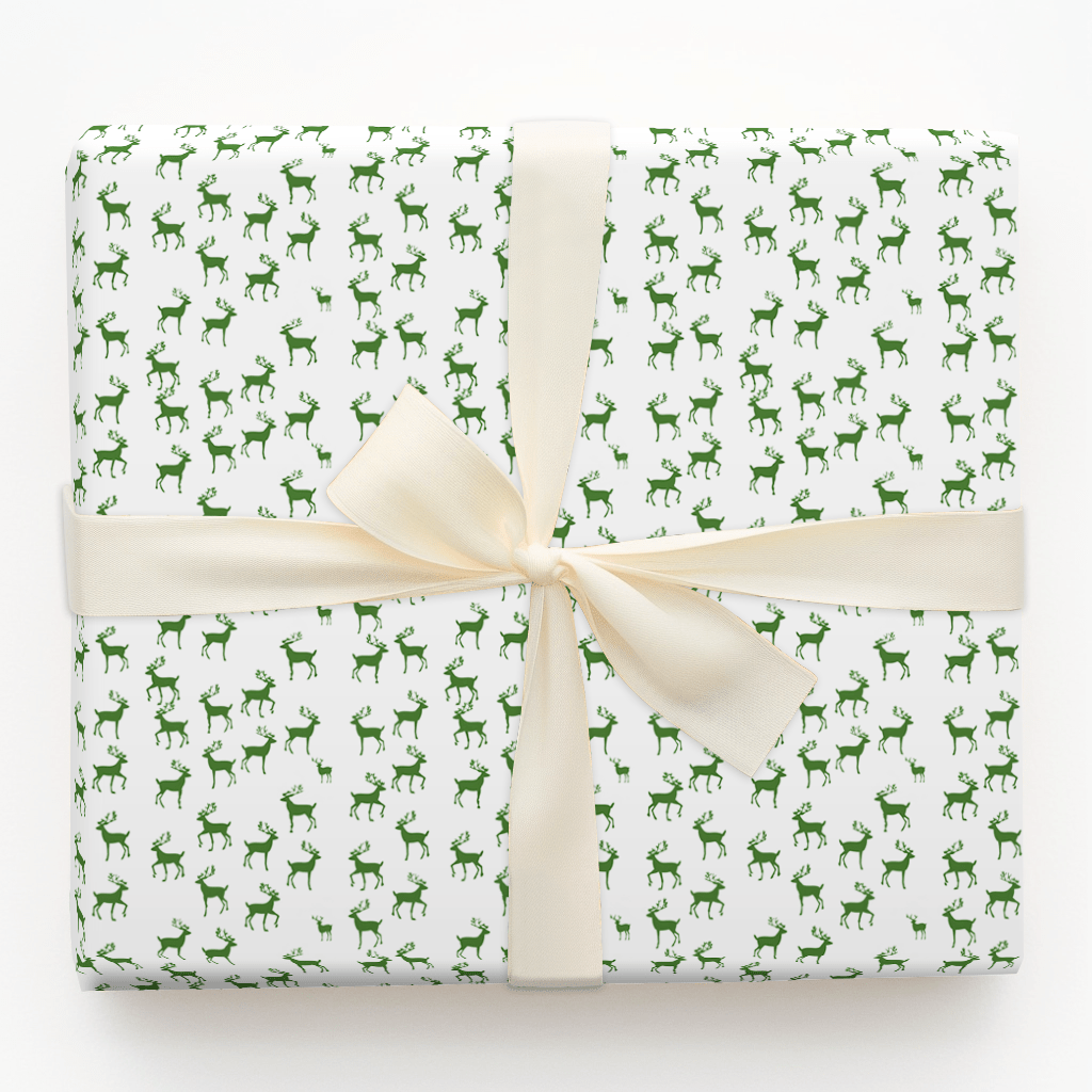 Sleigh What - Wrapping Paper - Aspen & Arlo