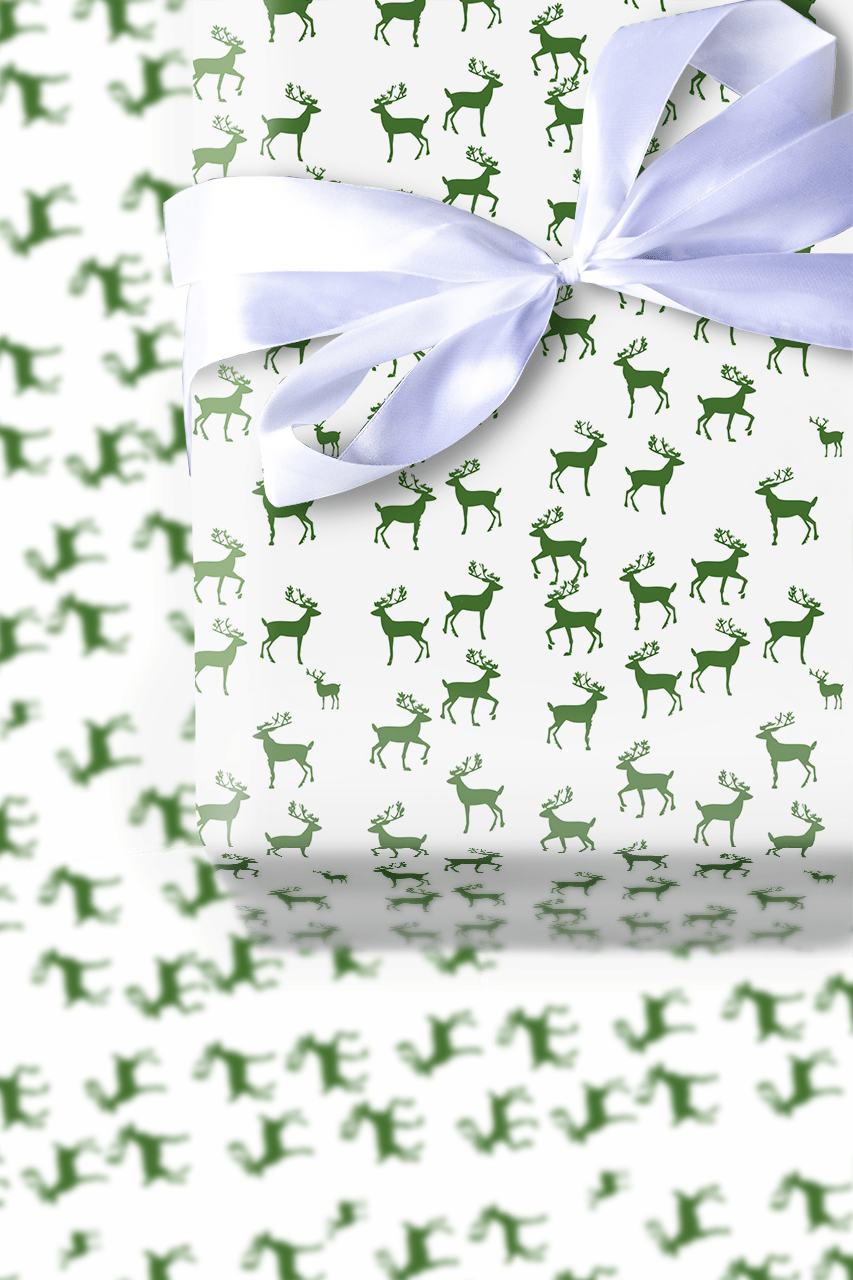 Sleigh What - Wrapping Paper - Aspen & Arlo