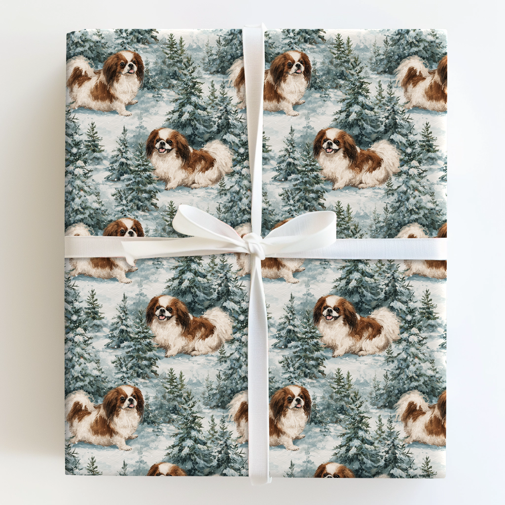 Snow Day for Sable Japanese Chin