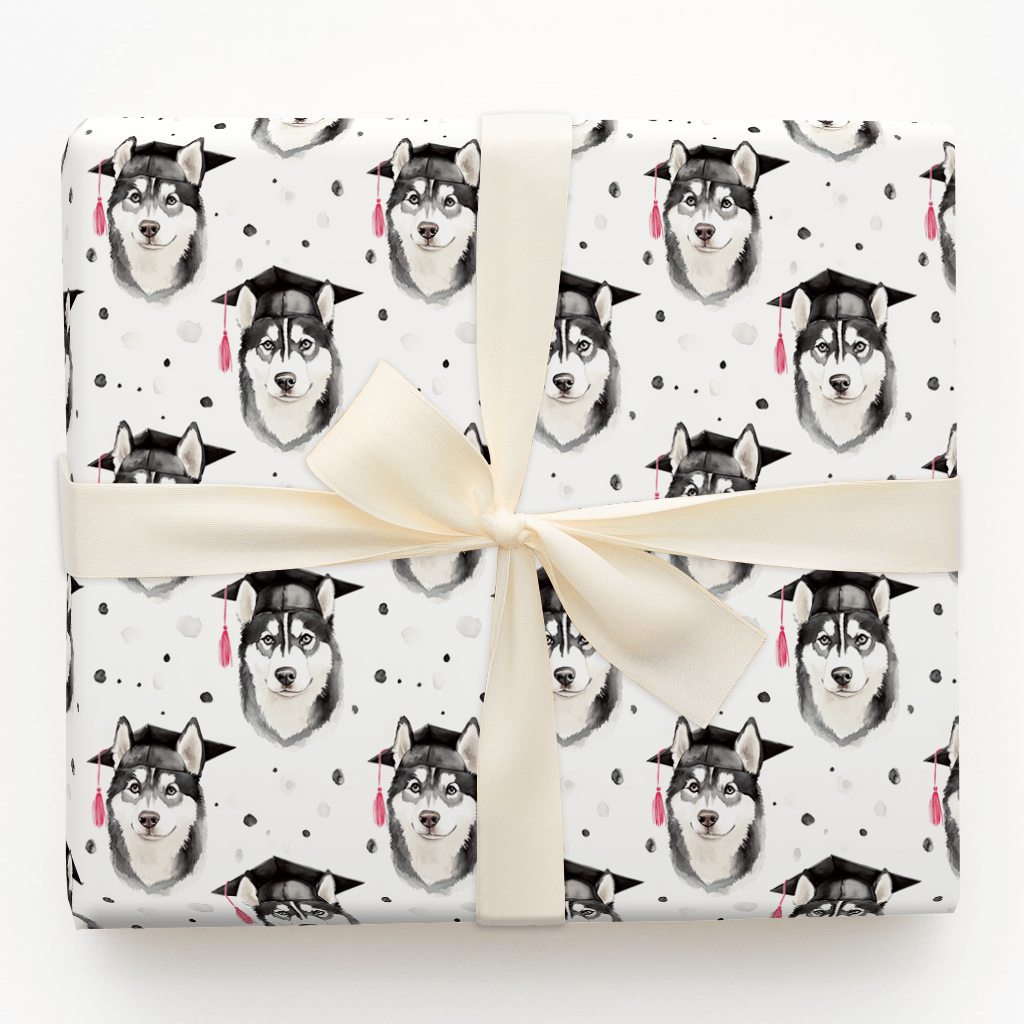 Husky Graduate - Wrapping Paper - Aspen & Arlo