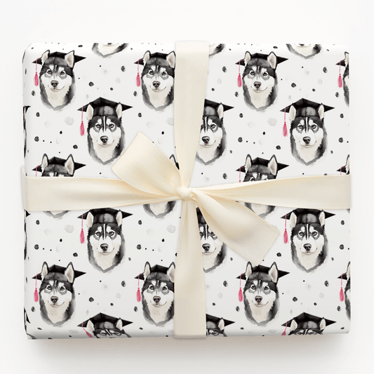 Husky Graduate - Wrapping Paper - Aspen & Arlo