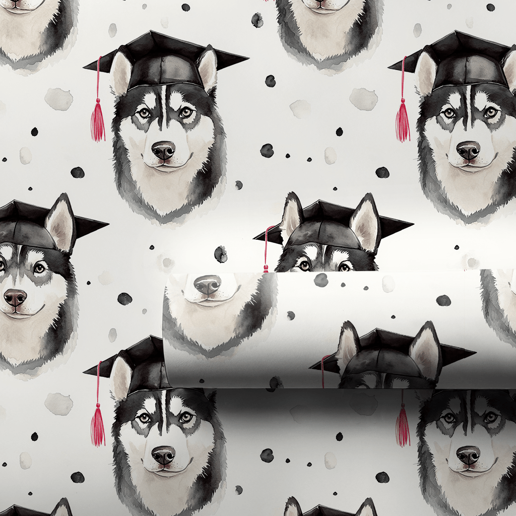 Husky Graduate - Wrapping Paper - Aspen & Arlo
