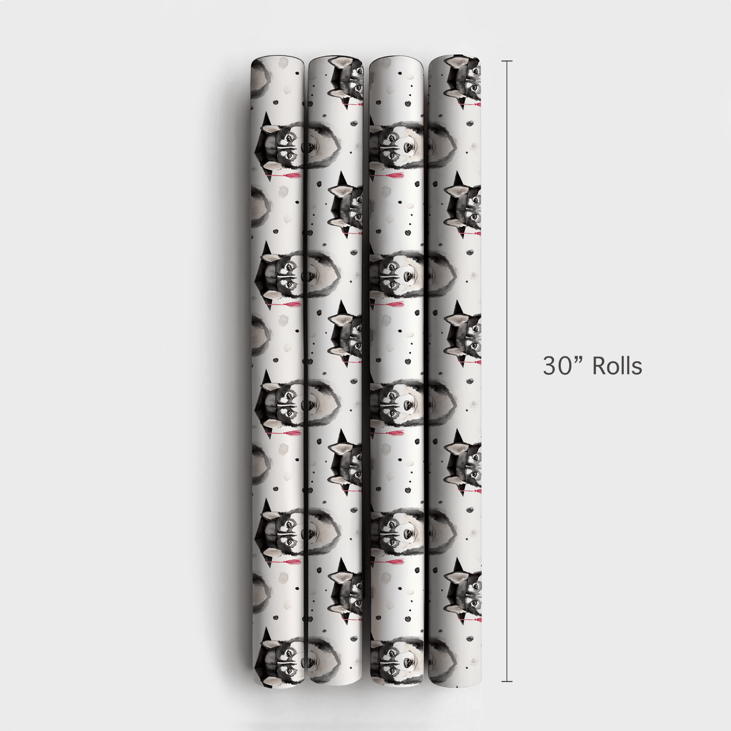 Husky Graduate - Wrapping Paper - Aspen & Arlo