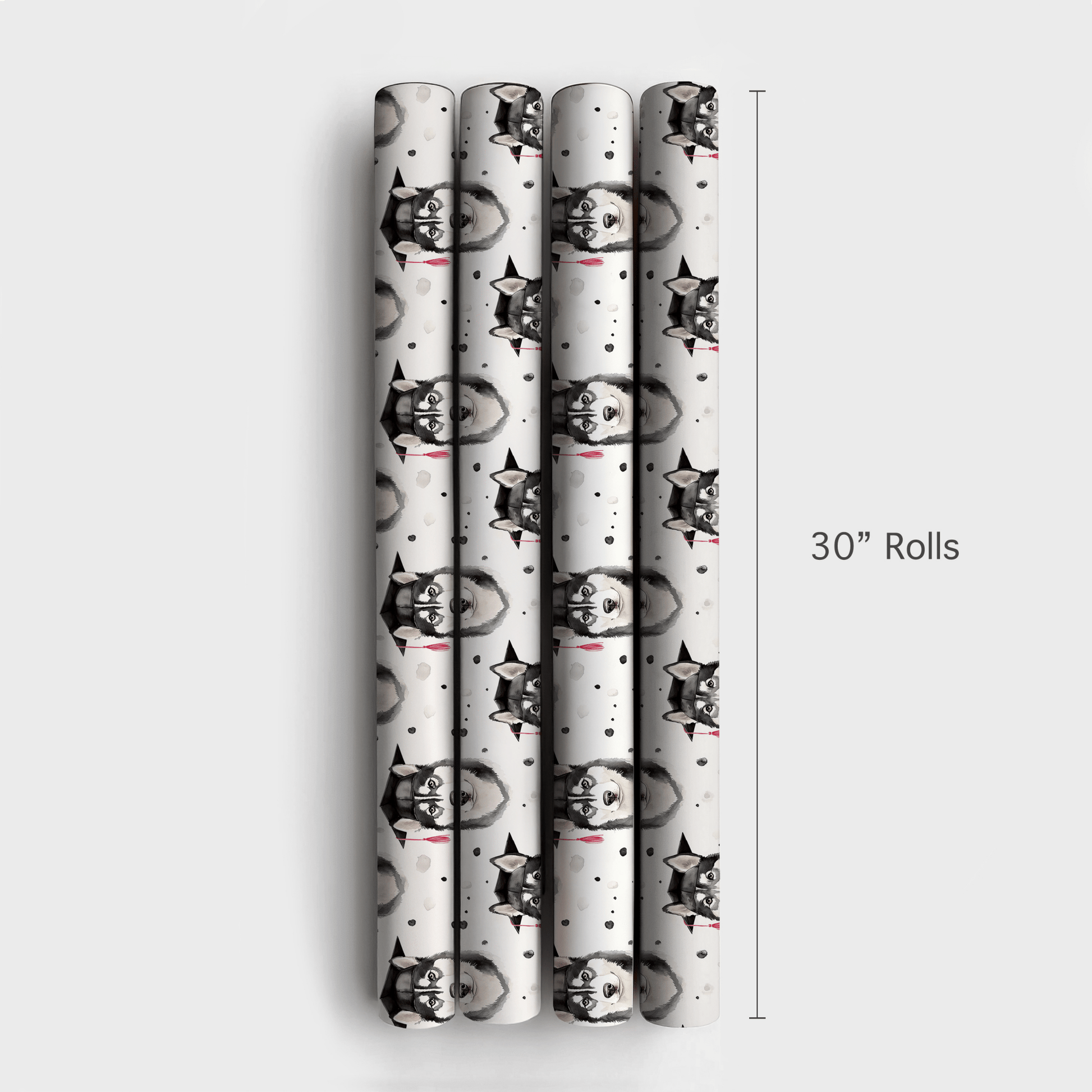 Husky Graduate - Wrapping Paper - Aspen & Arlo
