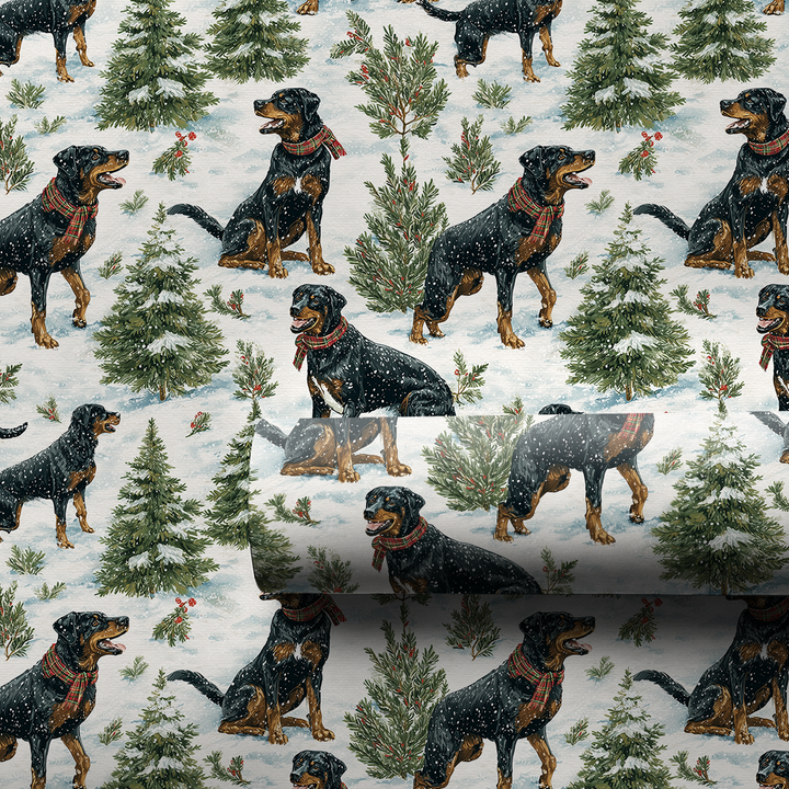 Snow Day for the Beaucerons