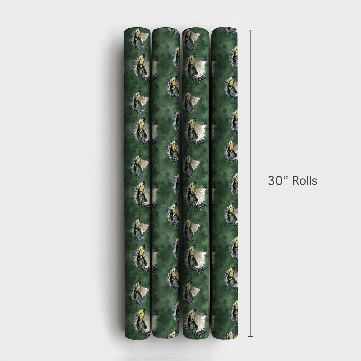Forest Falcon - Wrapping Paper - Aspen & Arlo