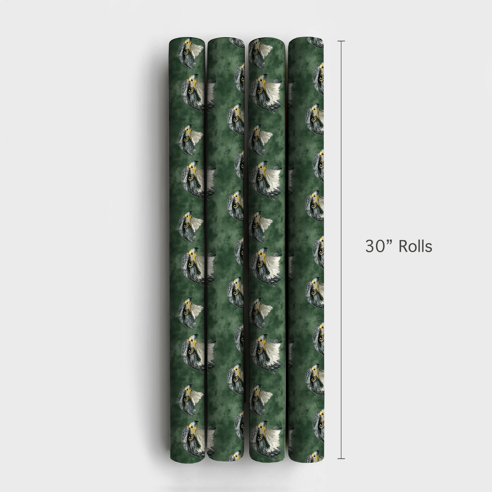 Forest Falcon - Wrapping Paper - Aspen & Arlo