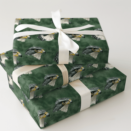 Forest Falcon - Wrapping Paper - Aspen & Arlo