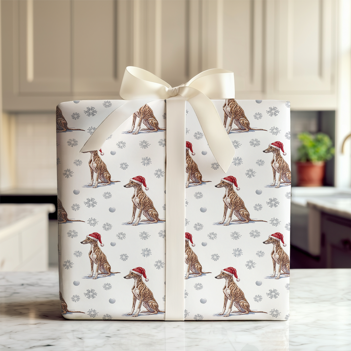 Snowflakes and Greyhounds