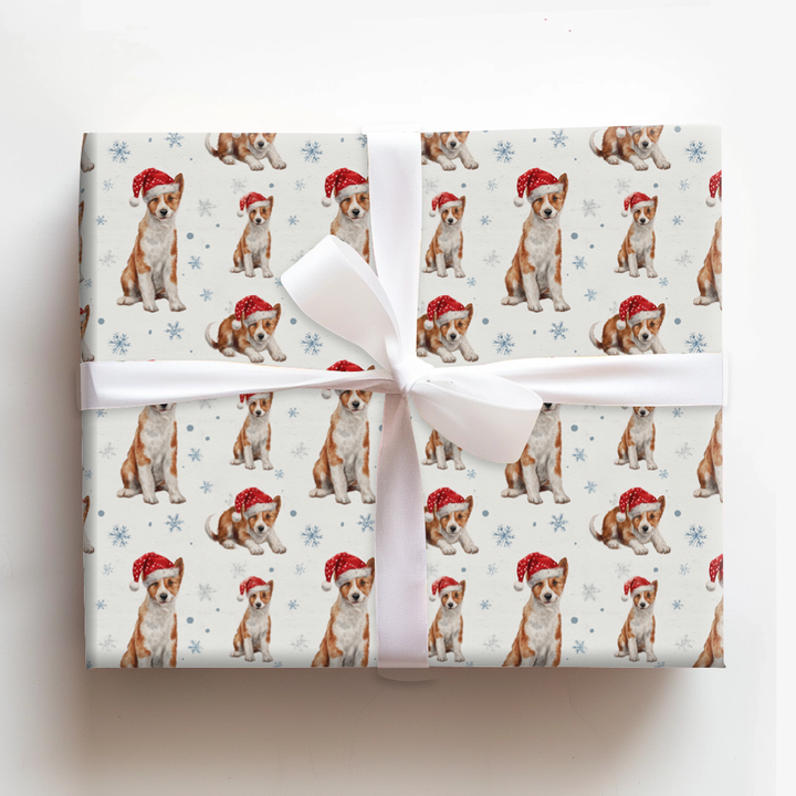 Baby Basenji Claus