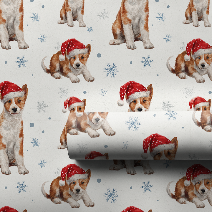 Baby Basenji Claus