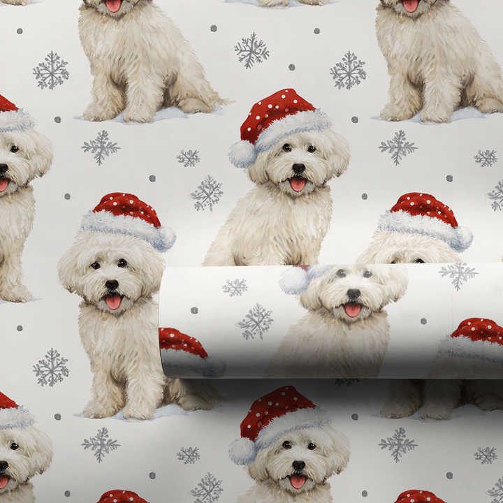 Santa Hats for Bichons