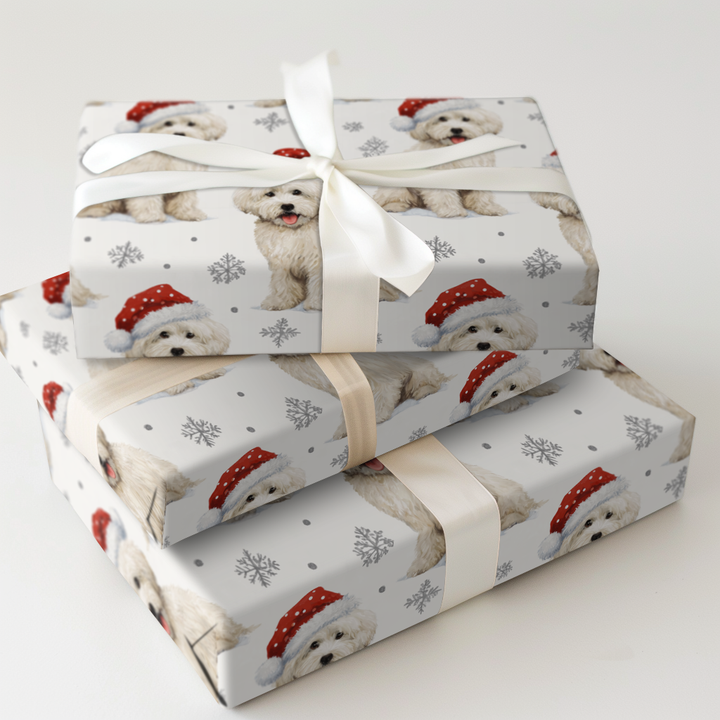 Santa Hats for Bichons