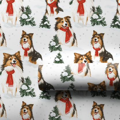 Snow day for Shelties - 1 Roll