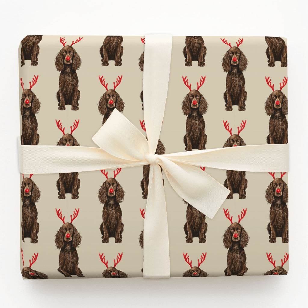 Rudolph the Boykin Spaniel - Wrapping Paper - Aspen & Arlo