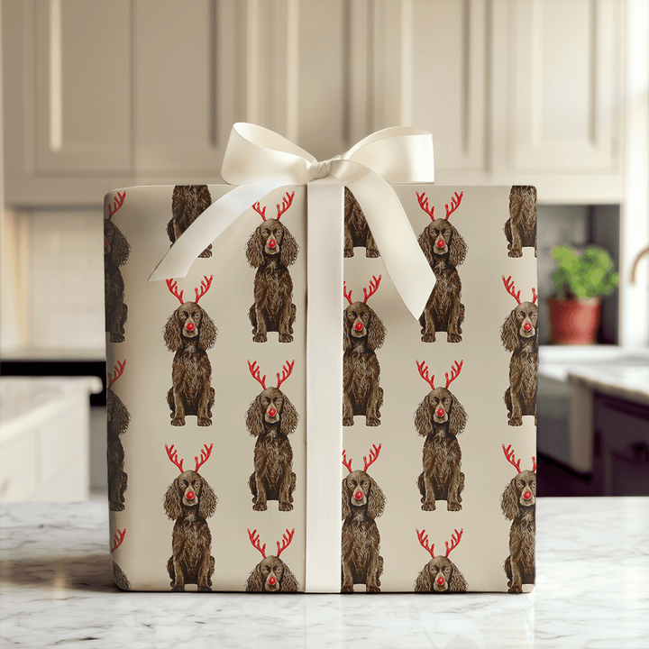 Rudolph the Boykin Spaniel - Wrapping Paper - Aspen & Arlo
