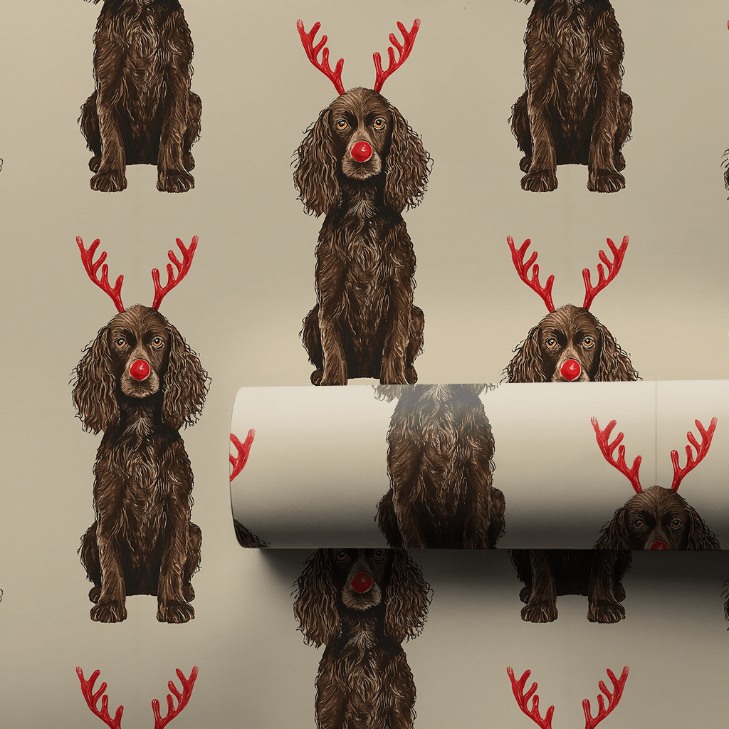 Rudolph the Boykin Spaniel - Wrapping Paper - Aspen & Arlo