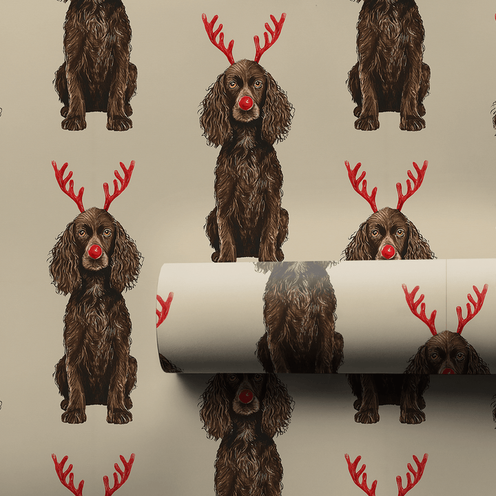 Rudolph the Boykin Spaniel - Wrapping Paper - Aspen & Arlo