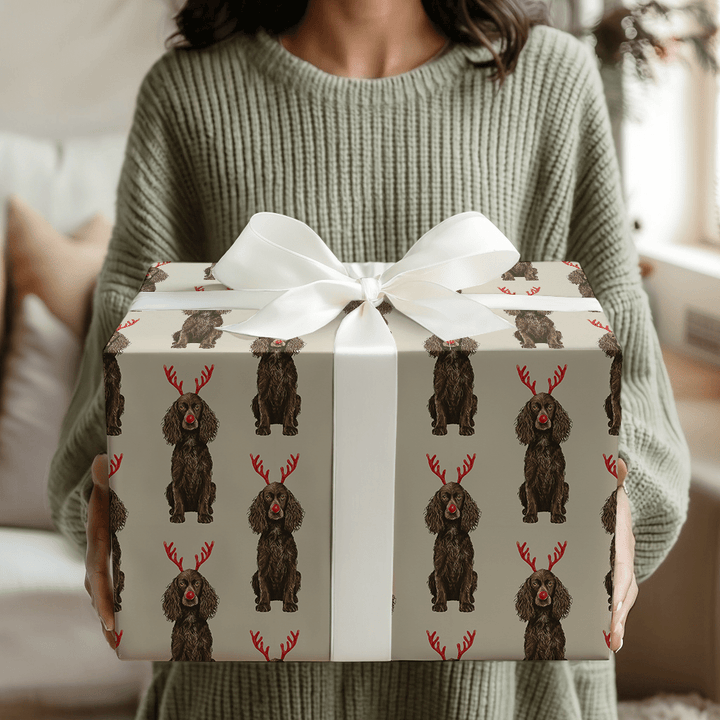 Rudolph the Boykin Spaniel - Wrapping Paper - Aspen & Arlo