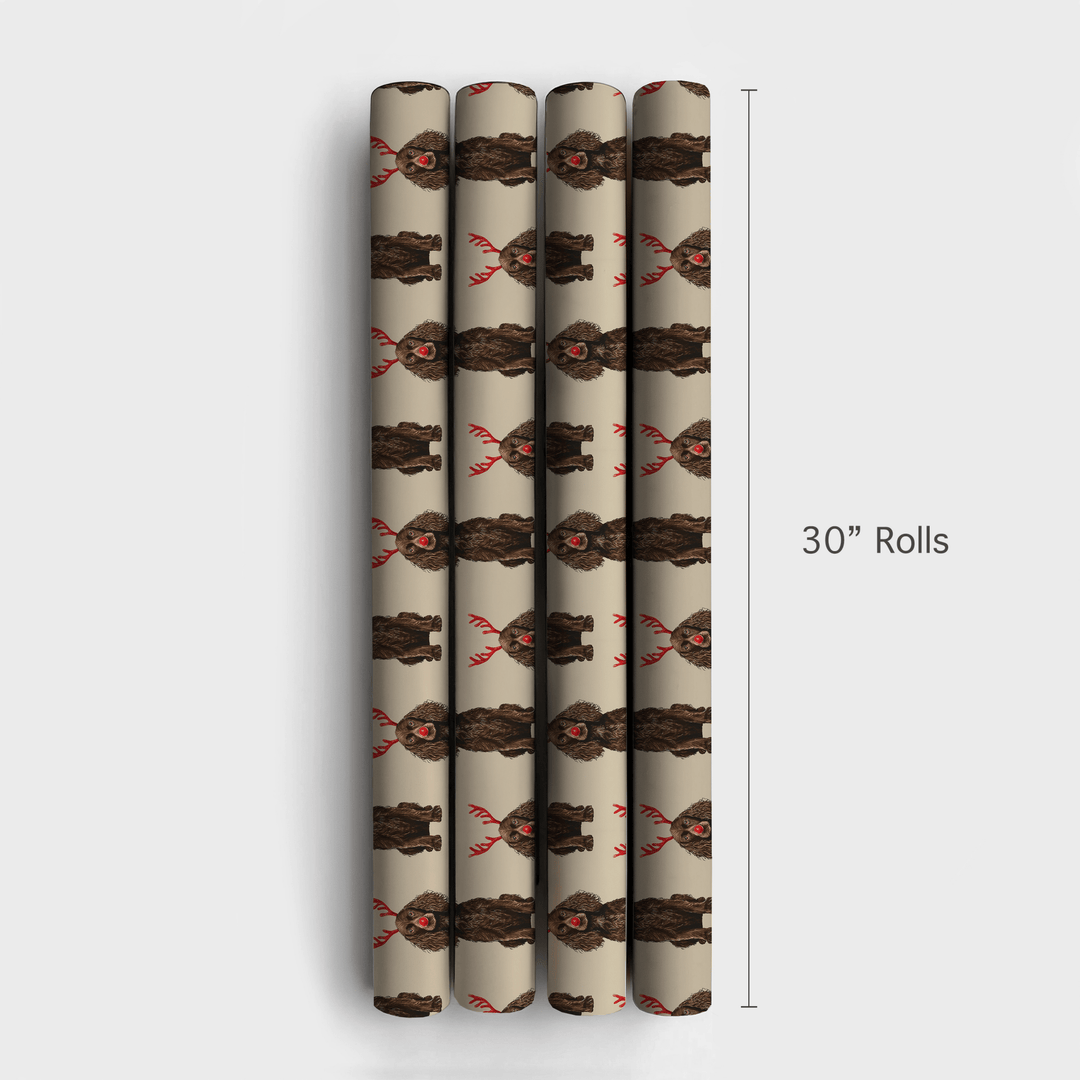 Rudolph the Boykin Spaniel - Wrapping Paper - Aspen & Arlo