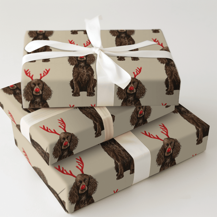 Rudolph the Boykin Spaniel - Wrapping Paper - Aspen & Arlo