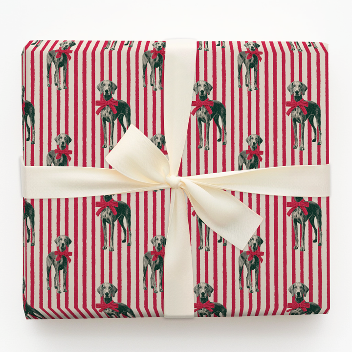 Weimaraner Christmas Stripe