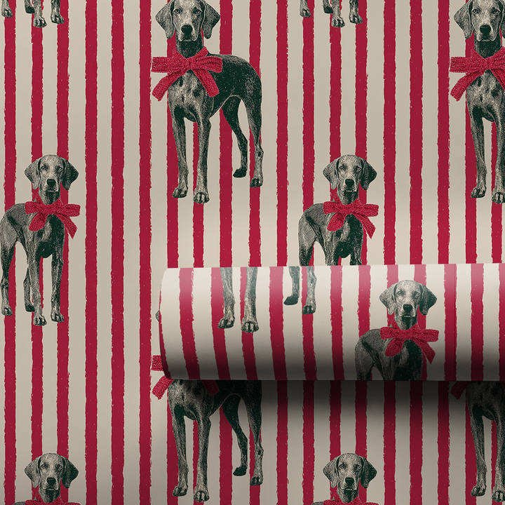 Weimaraner Christmas Stripe