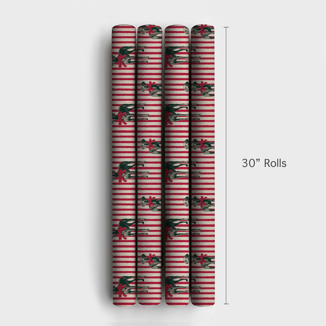 Weimaraner Christmas Stripe