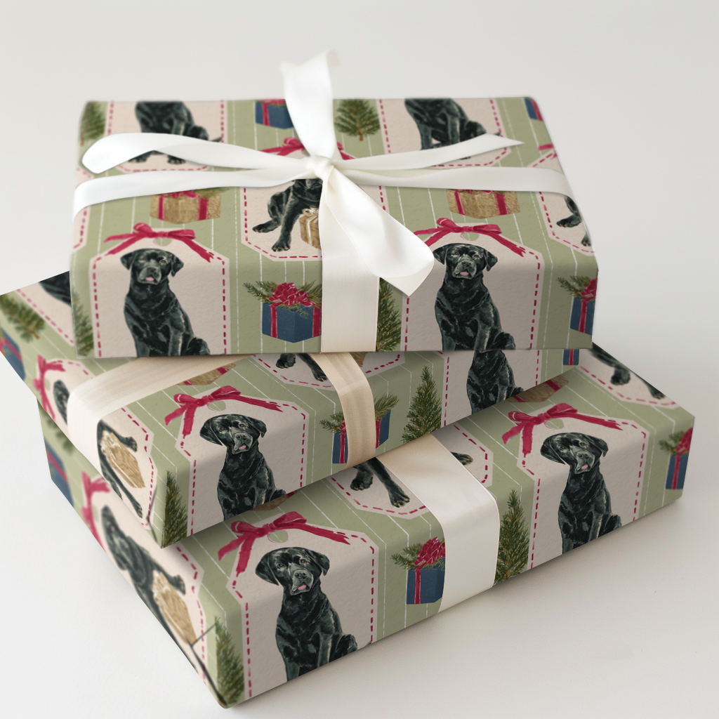 Santa's Gifted Lab