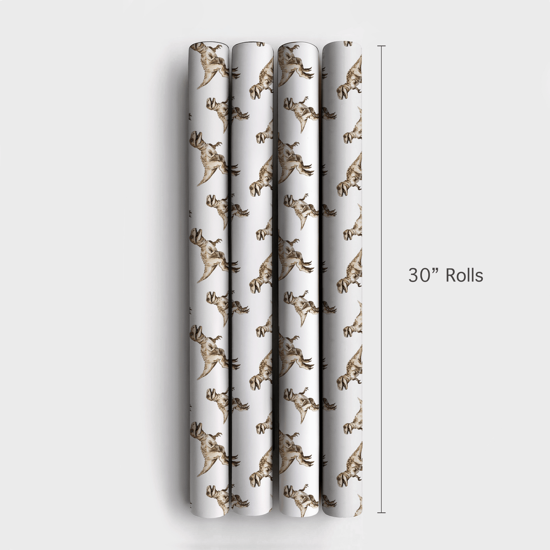 Jurrasic James - Wrapping Paper - Aspen & Arlo