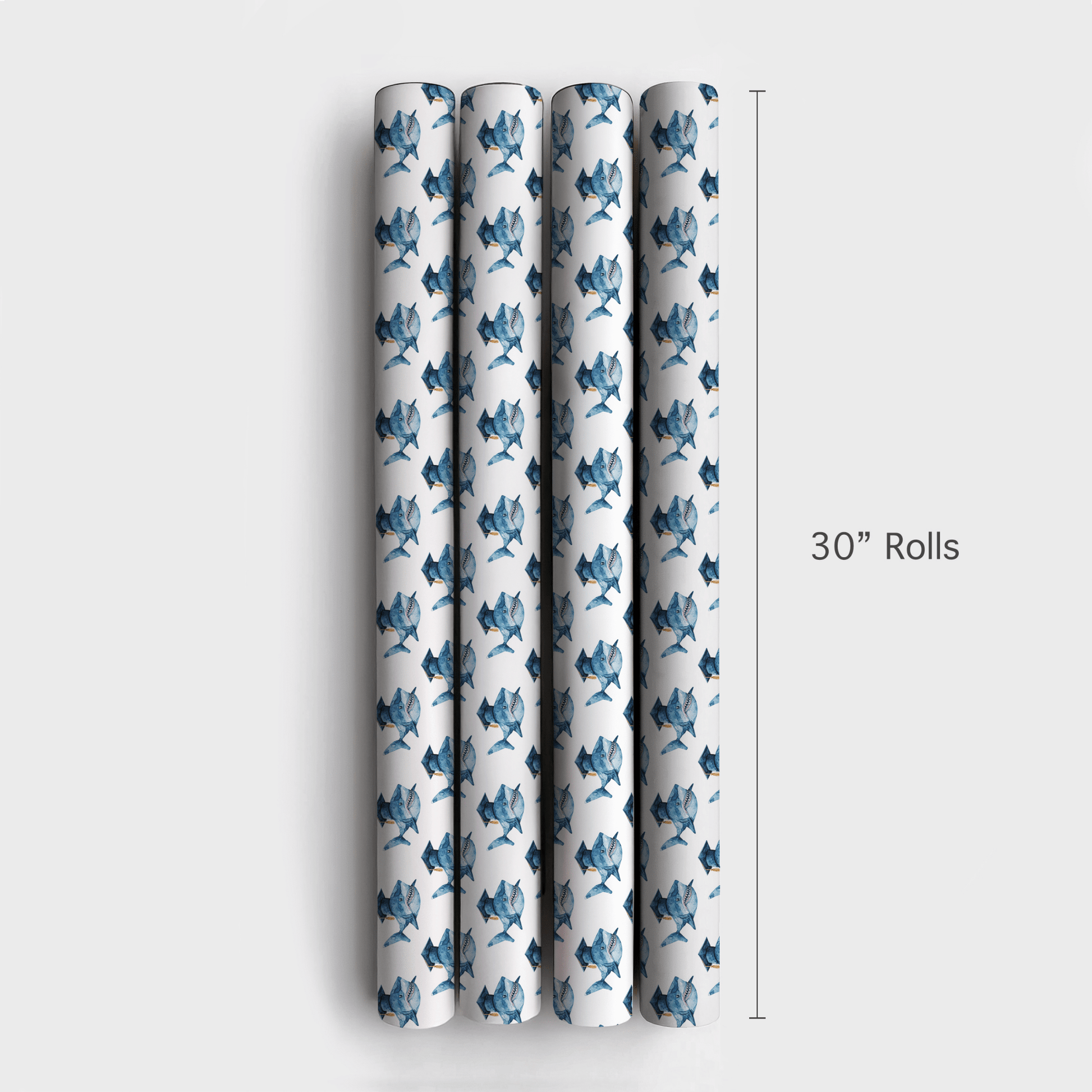 Shark Graduate - Wrapping Paper - Aspen & Arlo