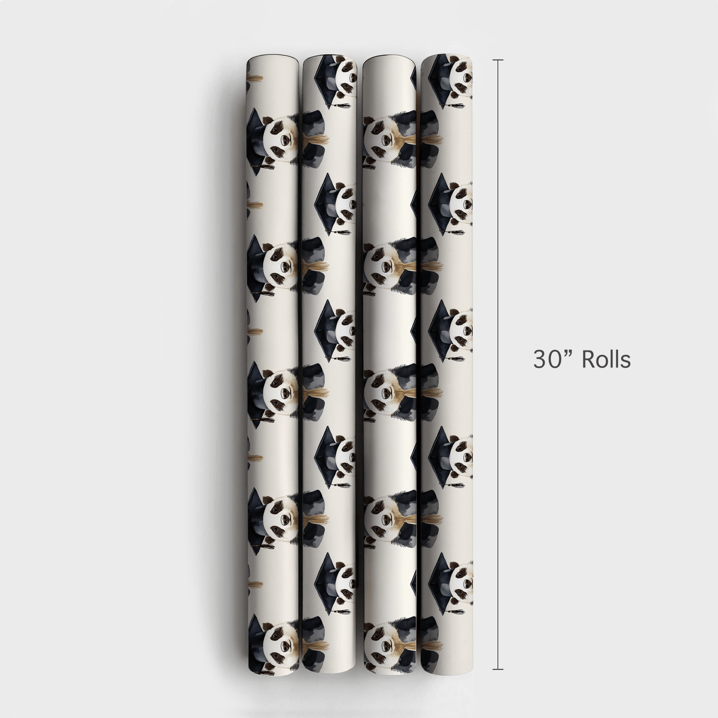 Smarty Stripes - Wrapping Paper - Aspen & Arlo