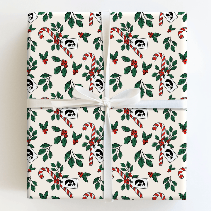 Peppermint Hawks - Wrapping Paper - Aspen & Arlo