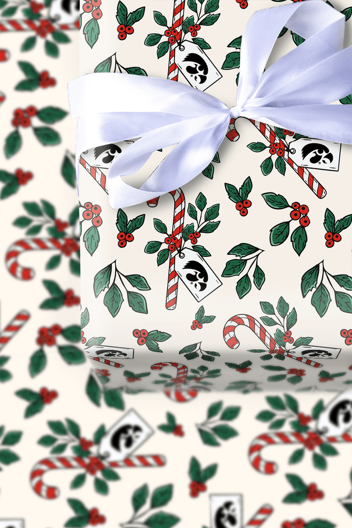 Peppermint Hawks - Wrapping Paper - Aspen & Arlo