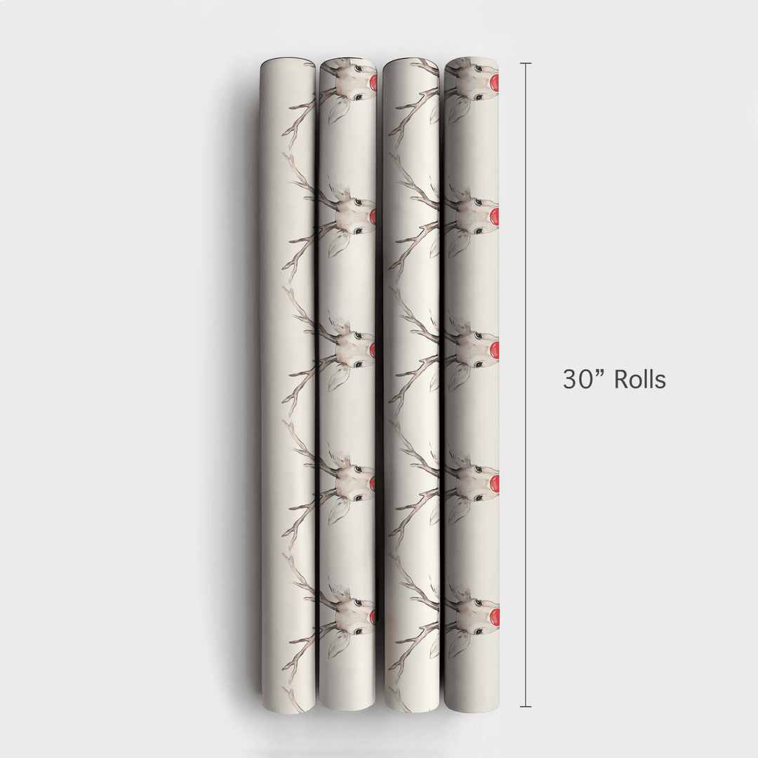 Nosy Red - Wrapping Paper - Aspen & Arlo