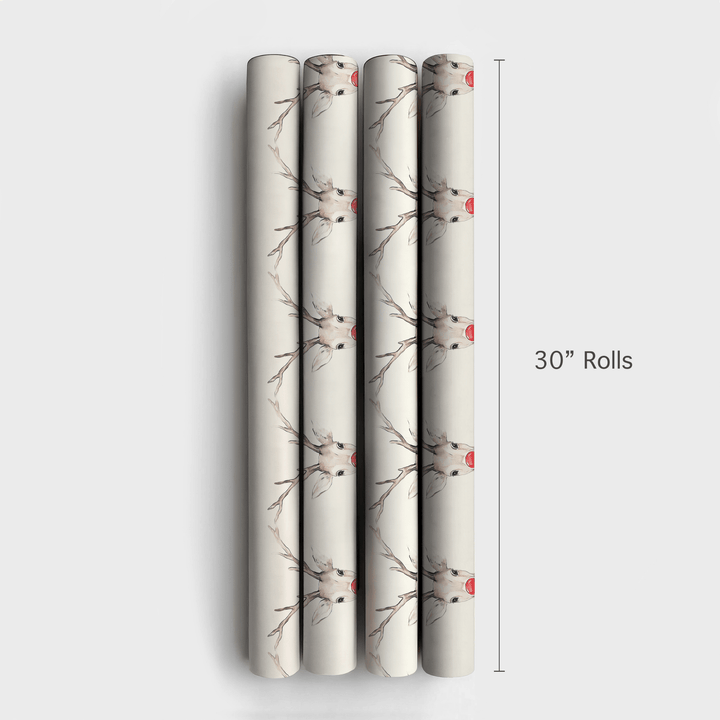 Nosy Red - Wrapping Paper - Aspen & Arlo